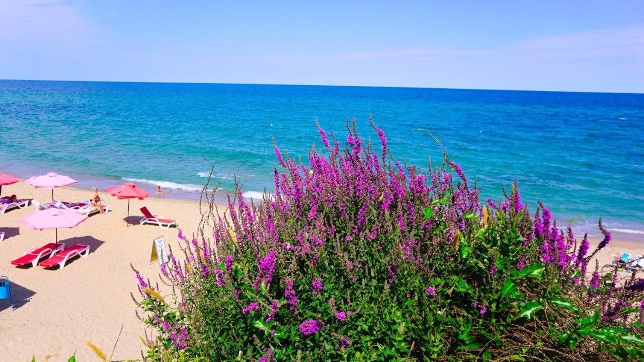 Byala Vista Beach Apartments D - Бяла Виста Бийч Апартментс Д エクステリア 写真